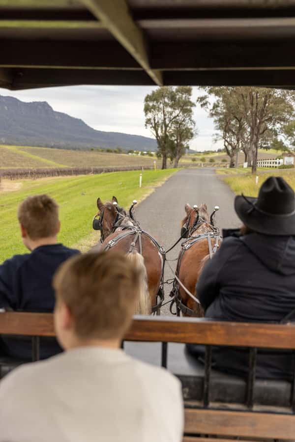 Pokolbin: Harvest the Hunter Horse Drawn Carriage Tour 3hrs - The 3-Hour Rhythm: Ride, Taste, Ride, Taste, Then Snack