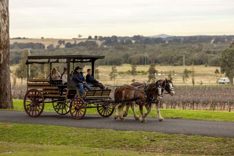 Pokolbin: Harvest the Hunter Horse Drawn Carriage Tour 3hrs - The Scenic Ride in Between: Vineyards, Pokolbin Views, and Small Surprises