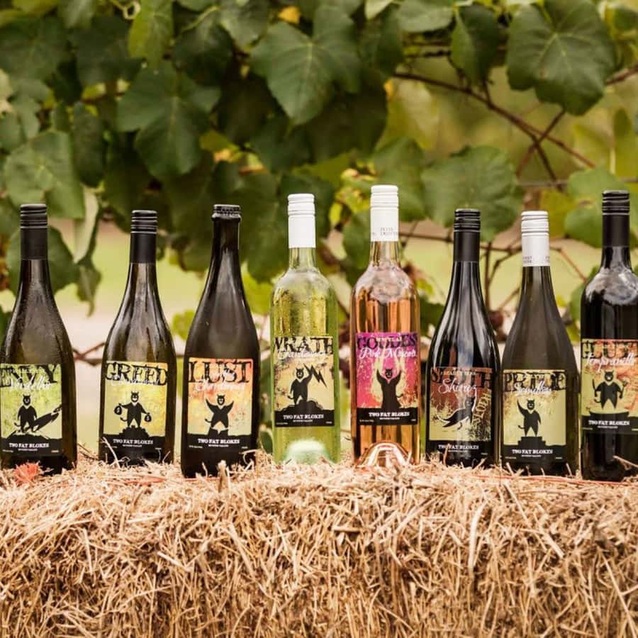 Pokolbin: Hunter Valley Half-Day Tour with Cheese and Wine - Two Fat Blokes gourmet kitchen: the 7-cheese, 7-wine pairing lesson