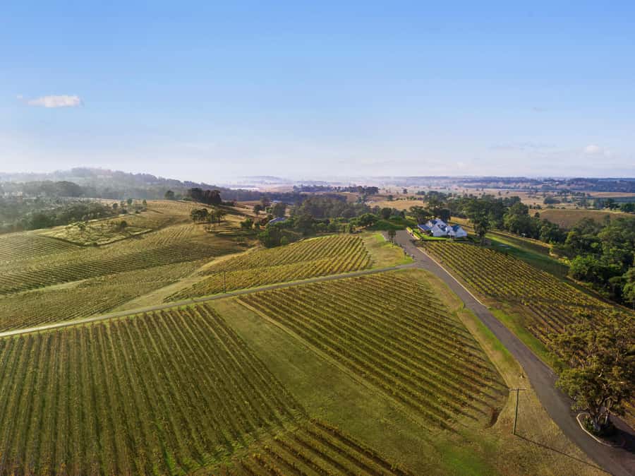 Pokolbin: Picnic & Wine Tasting at Audrey Wilkinson Vineyard - Entering Audrey Wilkinson: cellar door first, views always