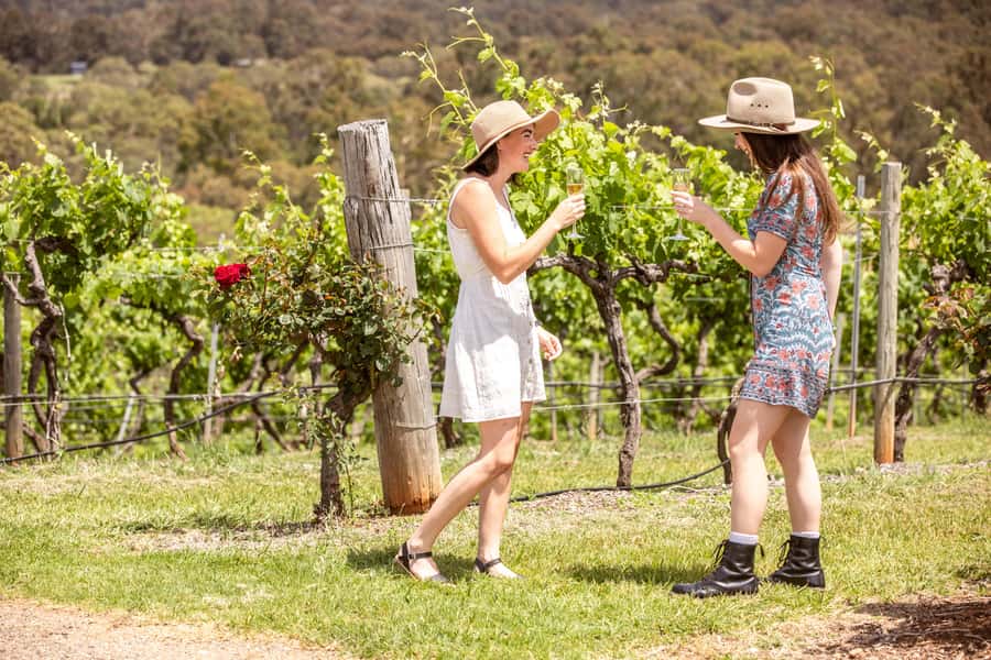 Pokolbin: Picnic & Wine Tasting at Audrey Wilkinson Vineyard - Price and value at $67 per person