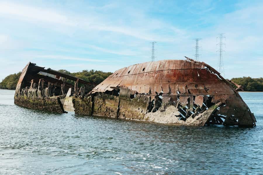 Port Adelaide: Dolphin and Ships Graveyard Cruise - Key things to know before you go