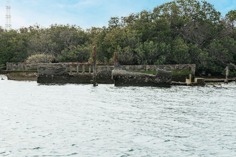 Port Adelaide: Dolphin and Ships Graveyard Cruise - Price and value at about $62 for 90 minutes on the water