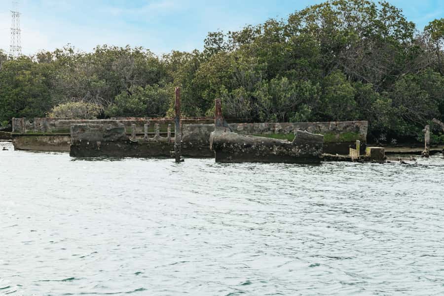 Port Adelaide: Dolphin and Ships Graveyard Cruise - Who should book, and who might prefer something else