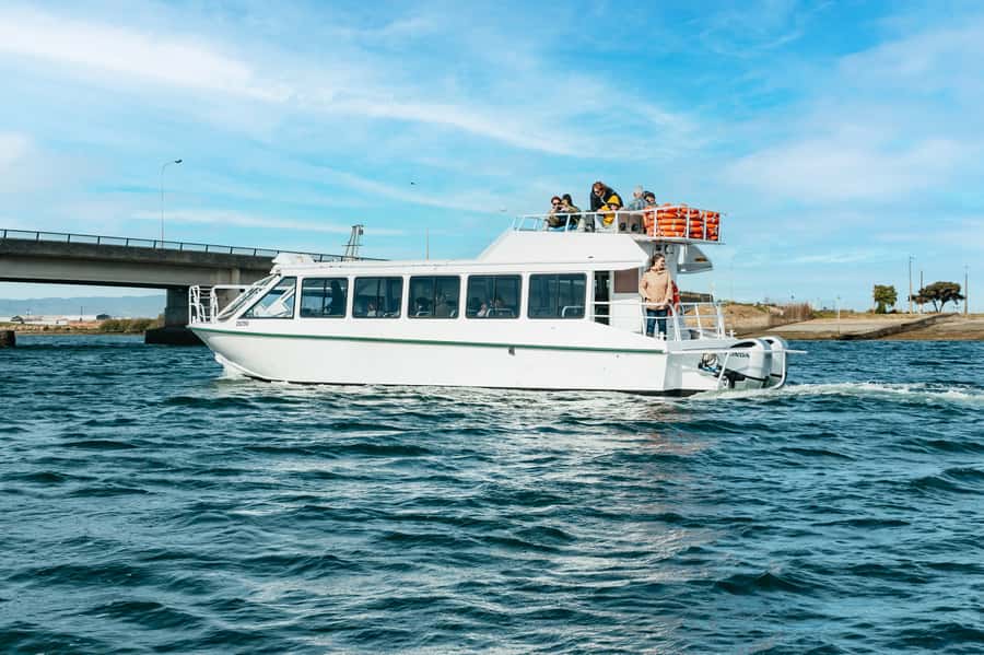 Port Adelaide: Dolphin and Ships Graveyard Cruise - Tips for a smoother cruise day in Port Adelaide