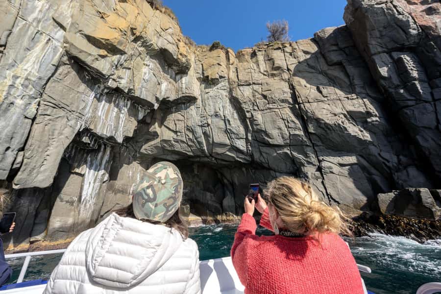 Port Arthur: Cape Raoul Wilderness Cruise - Cape Raoul dolerite columns: the main reason to pick this cruise