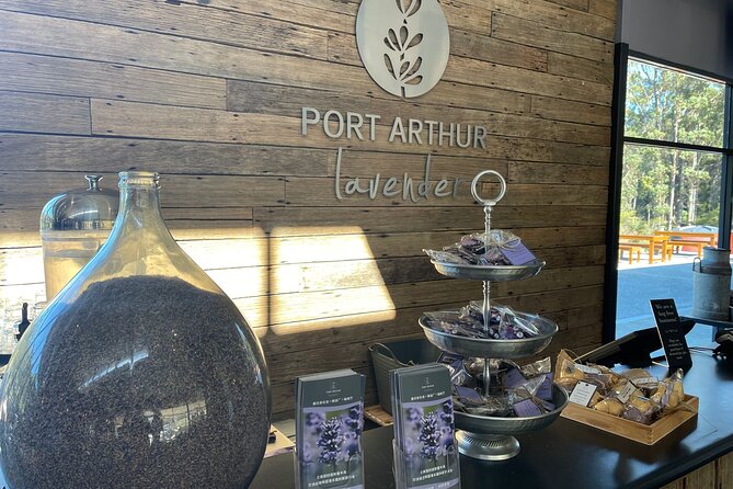 Port Arthur, Richmond and Lavender Active Day Tour - Port Arthur Historic Site: admission, self-paced exploring, and a cruise