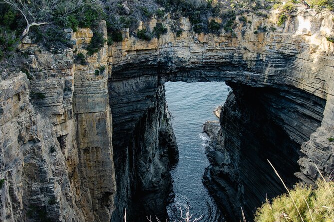 Port Arthur, Richmond and Tassie Devils Active Tour from Hobart - From Hobart at 7:30am: a tight day plan that actually works