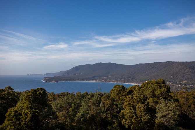 Port Arthur, Richmond and Tassie Devils Active Tour from Hobart - Waterfall Bay Clifftop Walk: easy hike, big coastal payoff