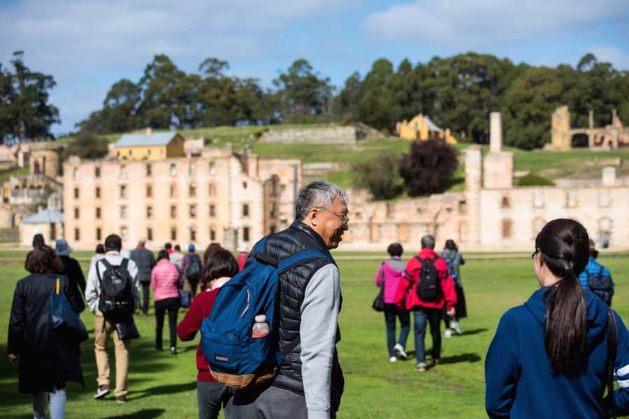 Port Arthur Shuttle and Tasman Sights Tour - Pirates Bay and the Dog Line: short stops, big payoff