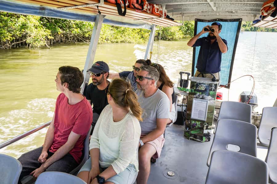 Port Douglas: Afternoon Daintree Tour w/ Wildlife Cruise - Key Highlights You Should Know
