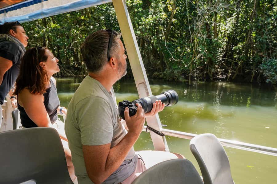 Port Douglas: Afternoon Daintree Tour w/ Wildlife Cruise - Mossman Gorge Walk and Swim: An Easy 500m Return That Feels Like a Reset