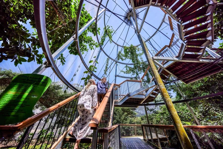 Port Douglas: Breakfast with the Birds - Key things that make this breakfast worth your time