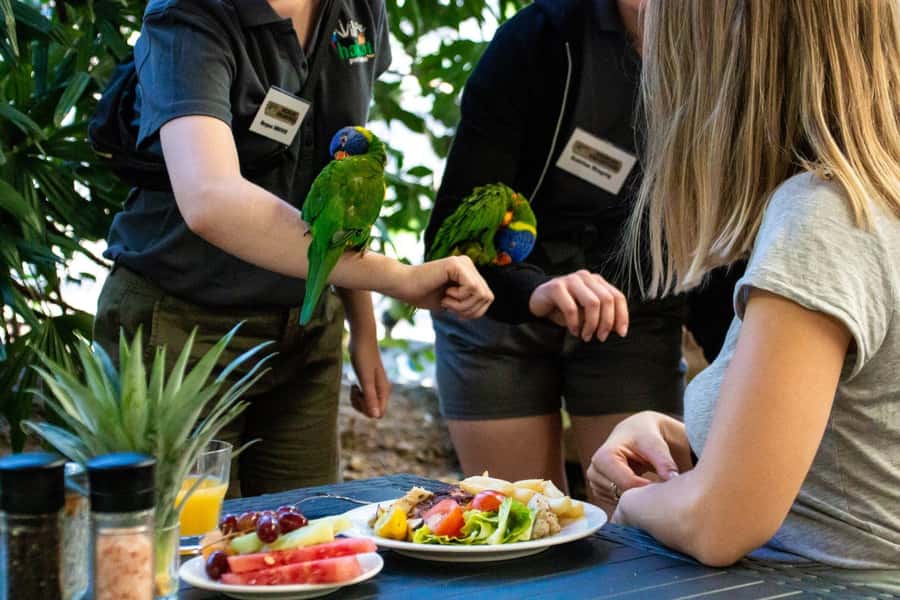 Port Douglas: Breakfast with the Birds - Entering Wildlife Habitat in Port Douglas, Curlew Café is the hub