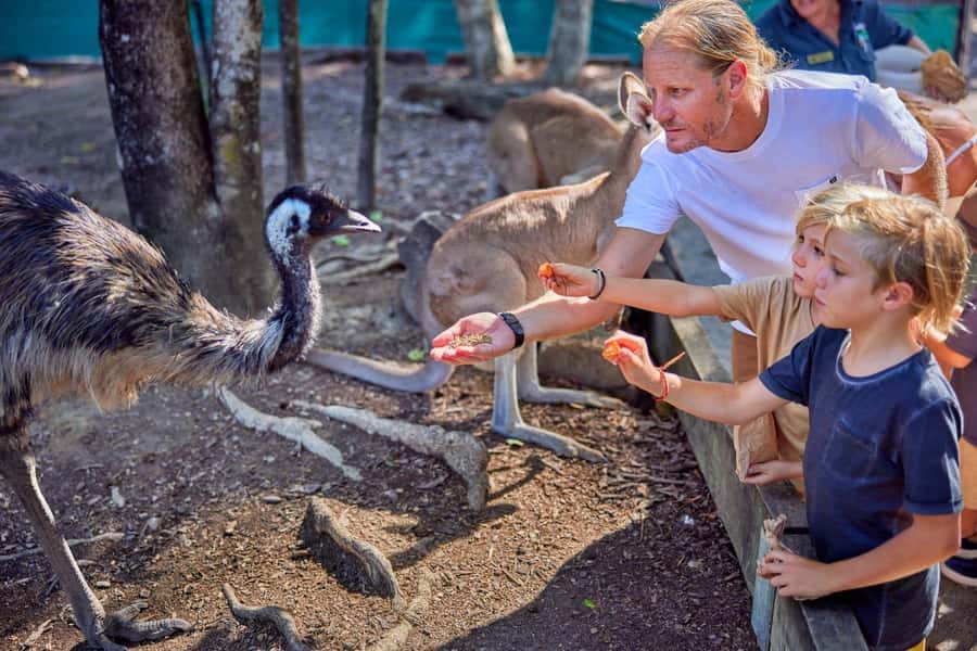 Port Douglas: Breakfast with the Birds - Breakfast in the bird zone: table platters, local produce, and family-style flow