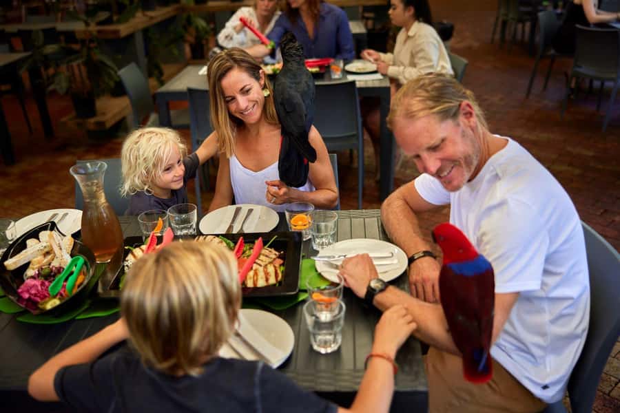 Port Douglas: Breakfast with the Birds - Price and value: $62 is really buying access plus a guided wildlife morning