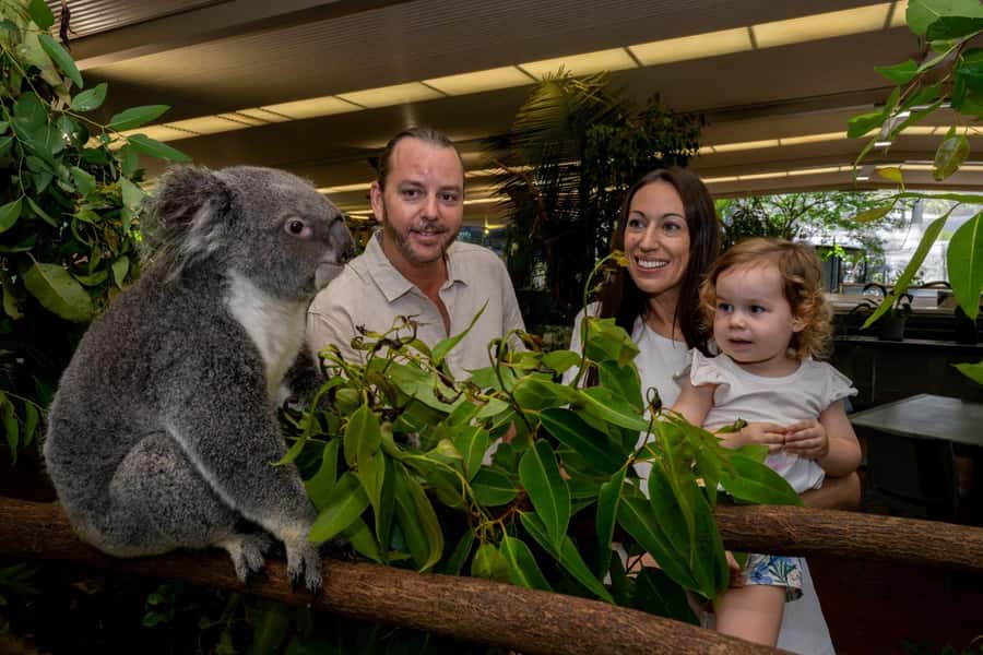 Port Douglas: Breakfast with the Birds - Who should book, and who might want to pick something else