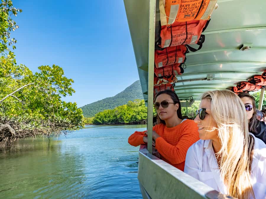 Port Douglas: Daintree National Park Tour, Cruise, & Zipline - Key points to know before you go