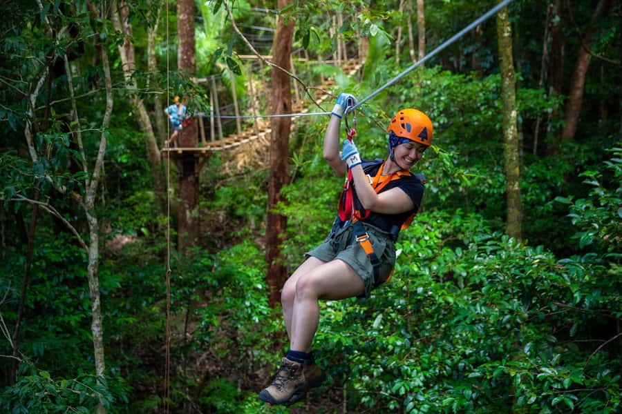 Port Douglas: Daintree National Park Tour, Cruise, & Zipline - How the Day Blends Zipline, Beach Walk, and River Wildlife
