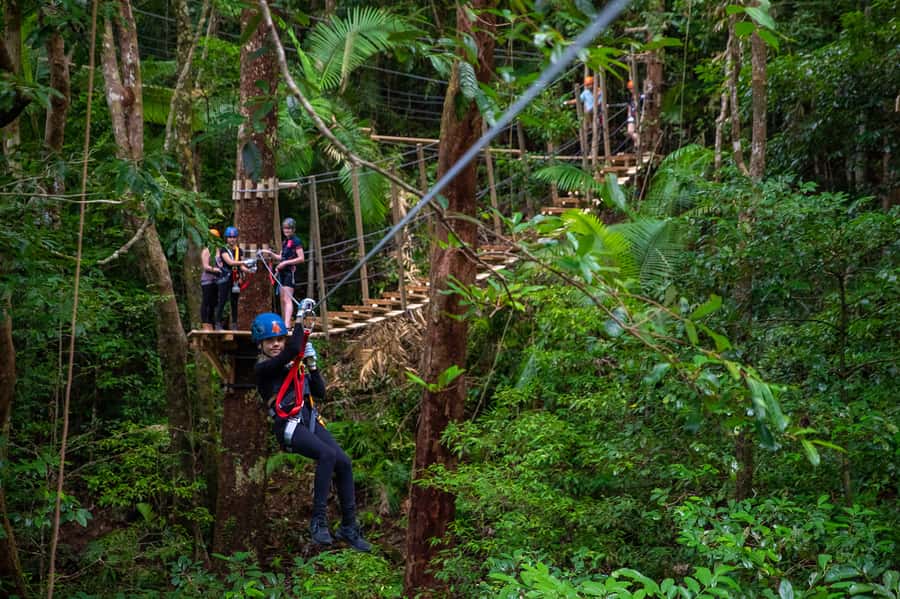 Port Douglas: Daintree National Park Tour, Cruise, & Zipline - Early Pickup to Alexandra Lookout, plus the Ferry Crossing