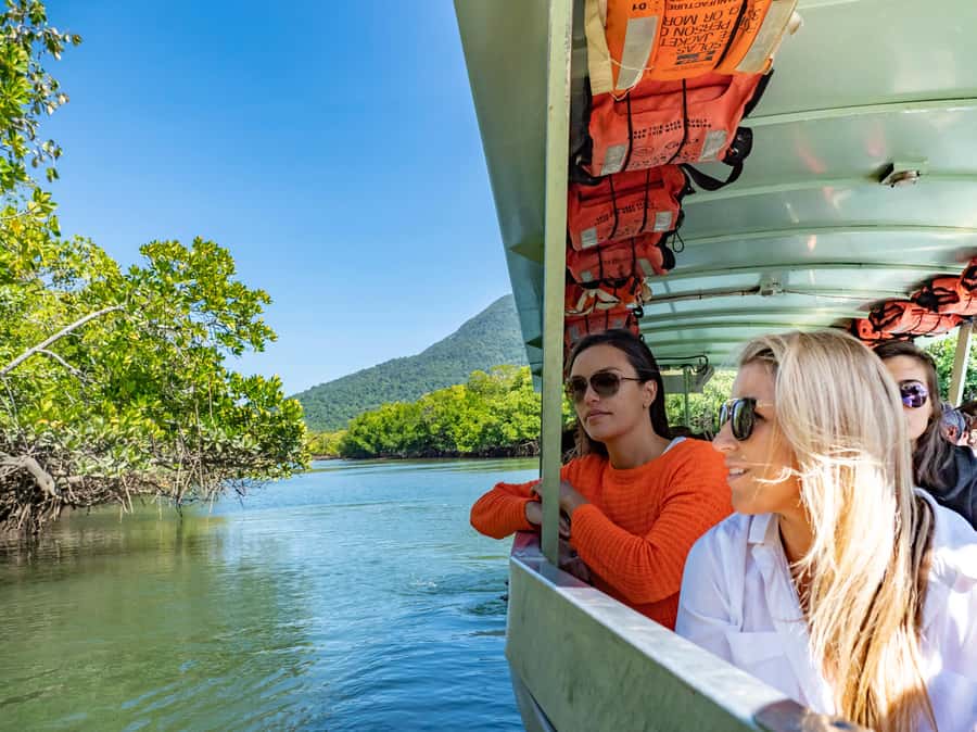 Port Douglas: Daintree Rainforest and Cape Tribulation Tour - Wildlife: How to Increase Your Odds and Still Enjoy the Day