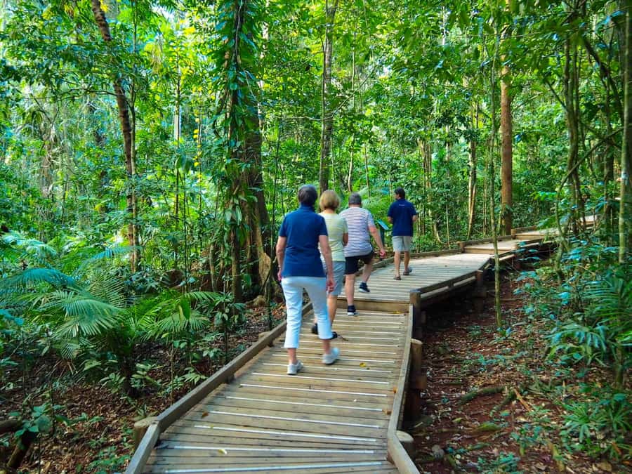 Port Douglas: Daintree Rainforest and Cape Tribulation Tour - A 9-hour Daintree and Cape Tribulation Day, Timed for Real Sightseeing