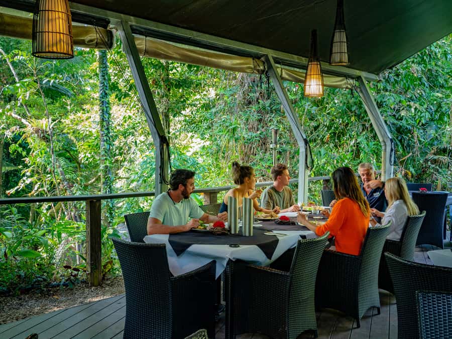 Port Douglas: Daintree Rainforest and Cape Tribulation Tour - Mossman Gorge Walk: The Boardwalk Style That Keeps the Day Moving