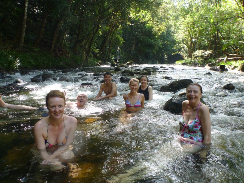 Port Douglas: Daintree Rainforest and Mossman Gorge Tour - Small Group, Park Fees Covered, and the Real Value of $187