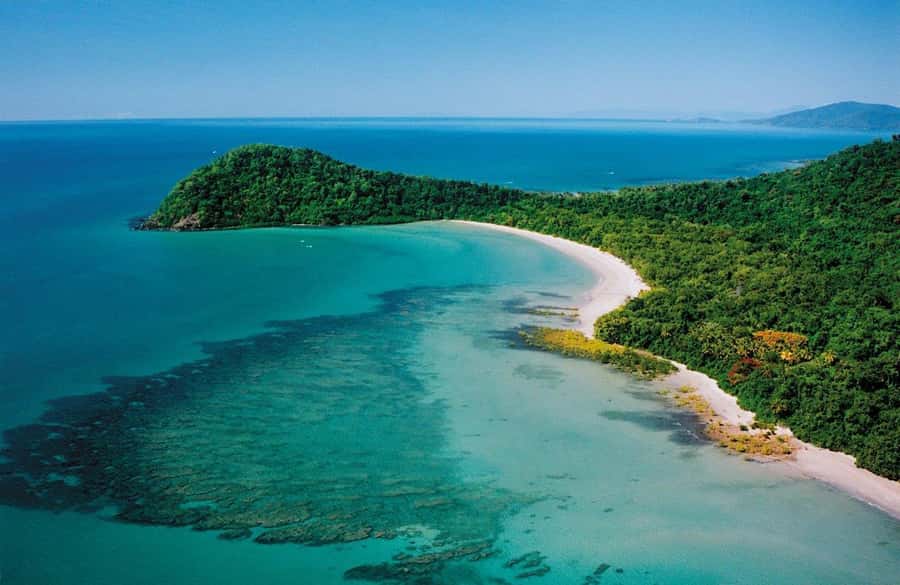 Port Douglas: Daintree Rainforest and Mossman Gorge Tour - Rainforest Soundtrack Plus Crocodile Cruise