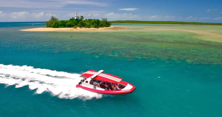 Port Douglas: Half-Day Low Island and Lagoon Snorkeling Tour - Key points before you go