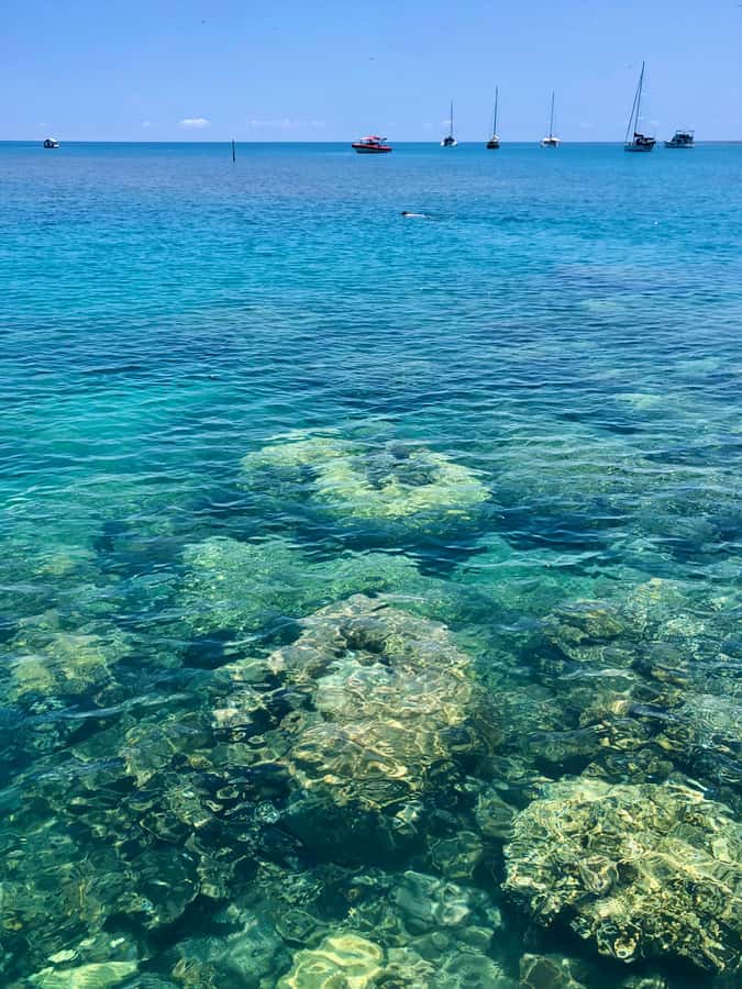 Port Douglas: Half-Day Low Island and Lagoon Snorkeling Tour - Low Isles from Port Douglas, where the lagoon snorkeling starts fast