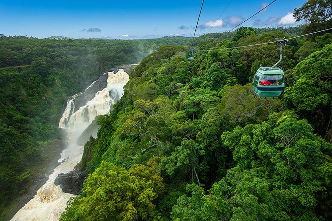 Port Douglas: Kuranda tour with Skyrail or Scenic Train - Optional add-ons in Kuranda: crocodiles, Aboriginal culture, and wildlife habitat