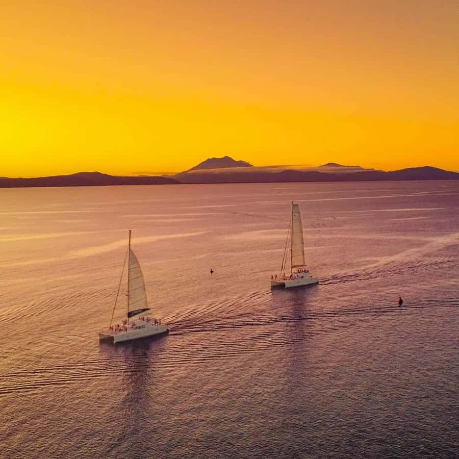 Port Douglas: Low Isles Afternoon Cruise on Luxury Catamaran - Glass-bottom boat viewing: see the reef if you sit out