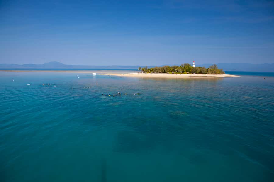 Port Douglas: Low Isles Glass Bottom Boat & Snorkeling Tour - Key Things You’ll Notice on Low Isles