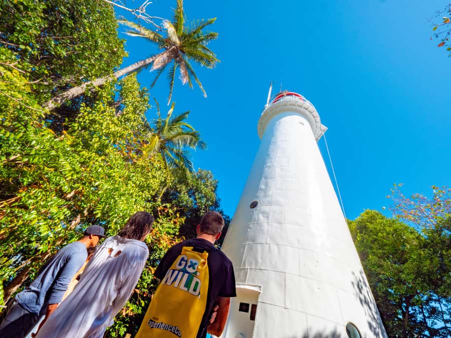 Port Douglas: Low Isles Glass Bottom Boat & Snorkeling Tour - Glass-Bottom Boat Time: Coral Viewing Without the Full Swim Commitment