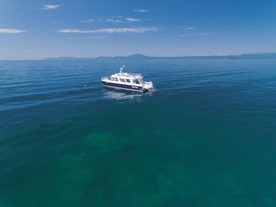 Port Douglas: Low Isles Glass Bottom Boat & Snorkeling Tour - Food, Gear, and Comfort on Calypso XI