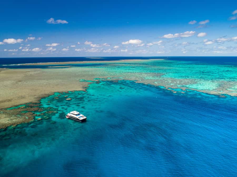 Port Douglas: Outer Barrier Reef Snorkel and Dive Options - Port Douglas to the reef: how the day flows
