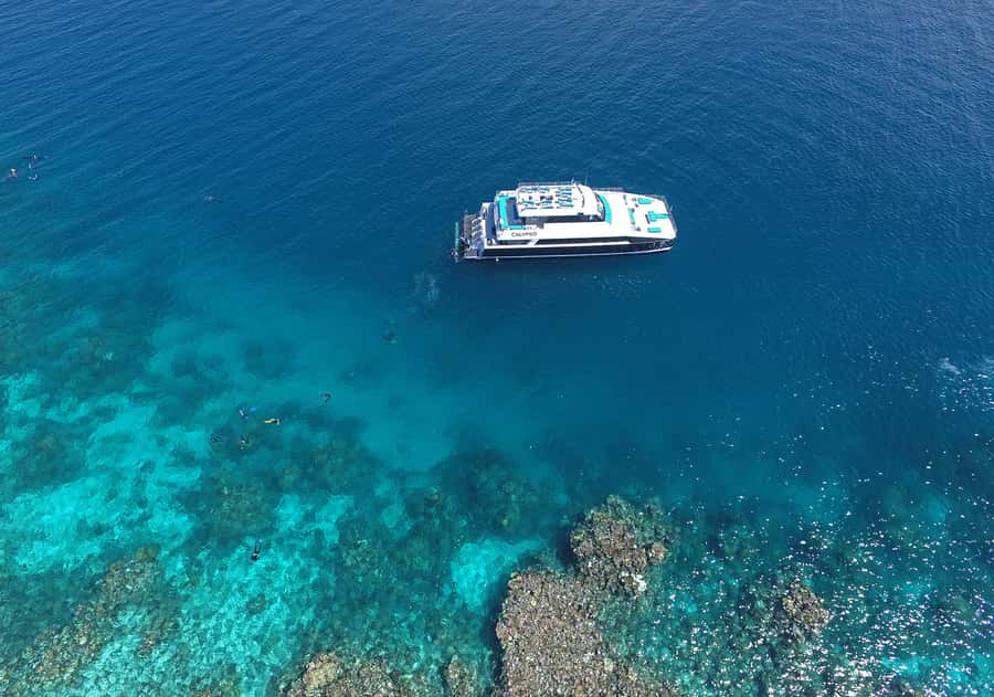 Port Douglas: Outer Barrier Reef Snorkel and Dive Options - Gear, crew, and marine life highlights that actually matter