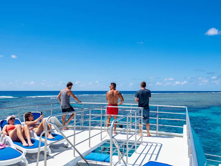 Port Douglas: Outer Barrier Reef Snorkel and Dive Options - Price and value: is $174 fair for 450 minutes on the reef?