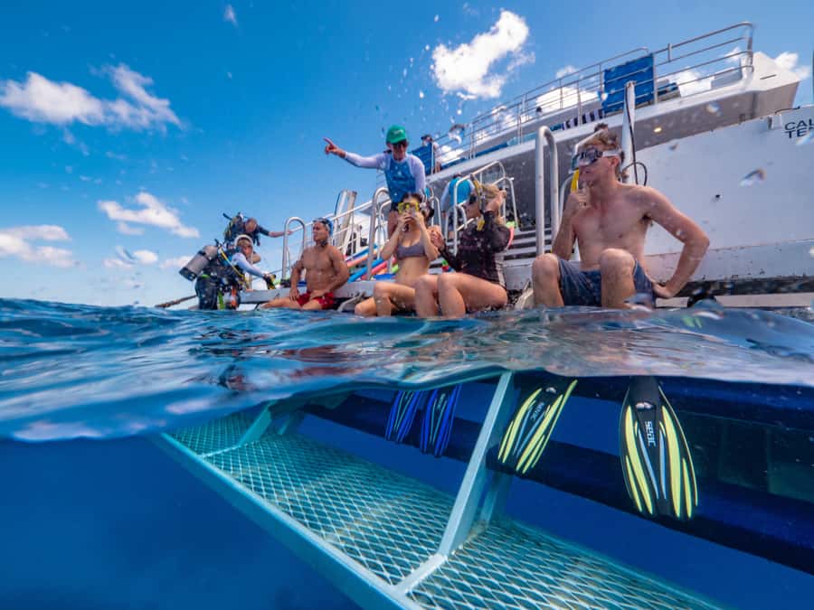 Port Douglas: Outer Barrier Reef Snorkel and Dive Options - Who this Port Douglas outer reef snorkel-and-dive day suits best