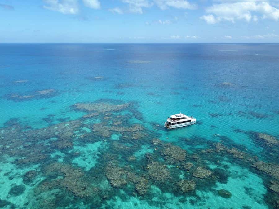 Port Douglas: Outer Great Barrier Reef Snorkeling Cruise - Wavelength and the 8-hour rhythm that makes it work