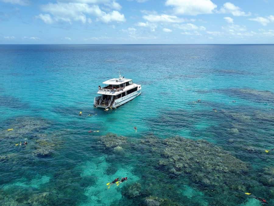 Port Douglas: Outer Great Barrier Reef Snorkeling Cruise - Snorkel training that actually gets you comfortable