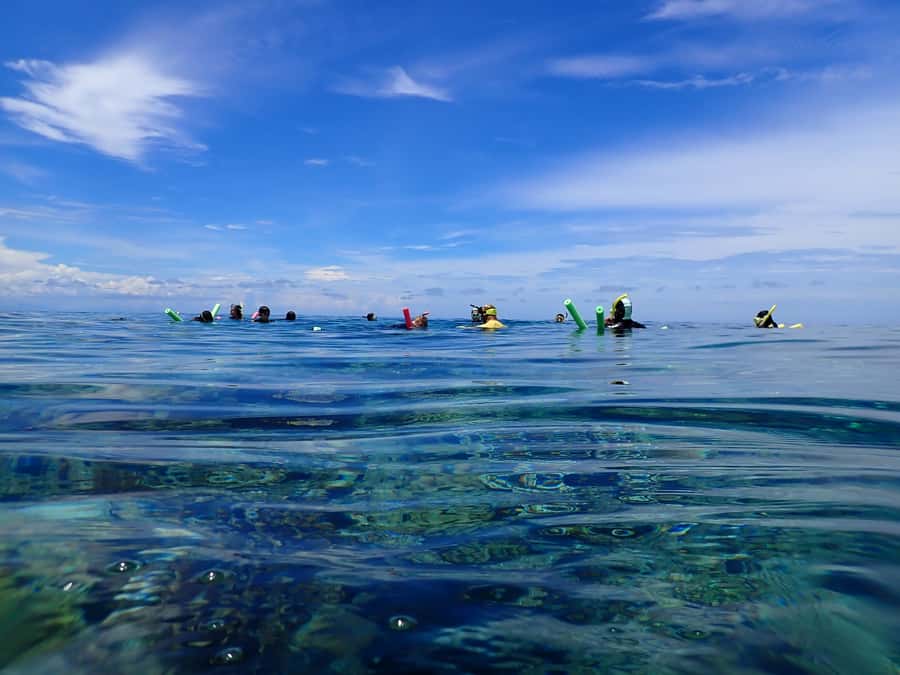 Port Douglas: Outer Great Barrier Reef Snorkeling Cruise - Stop two after morning tea: guided snorkel tours
