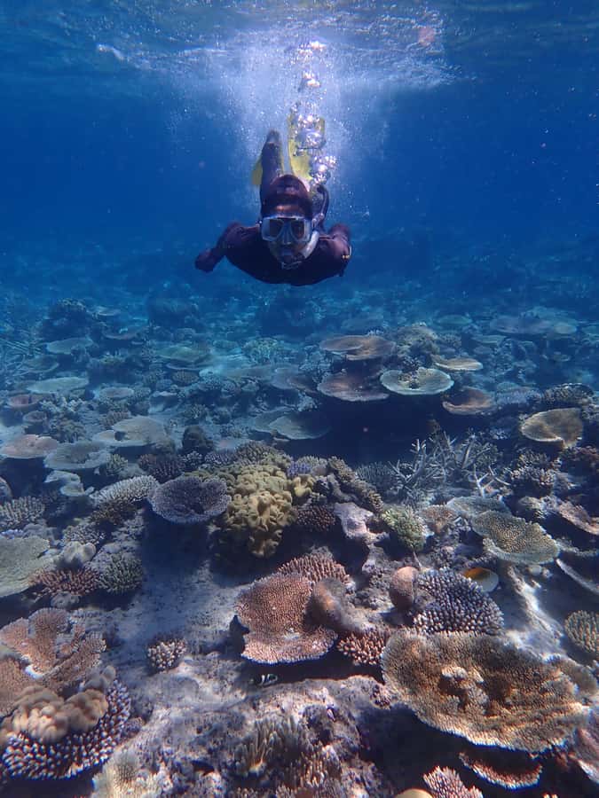 Port Douglas: Outer Great Barrier Reef Snorkeling Cruise - Stop three: final outer-reef exploring and photos