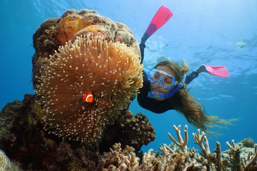 Port Douglas: Quicksilver Outer Barrier Reef Full-Day Cruise - The reef platform clock: 3.25 hours where snorkeling actually happens