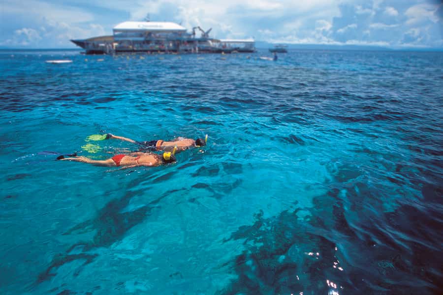 Port Douglas: Quicksilver Outer Barrier Reef Full-Day Cruise - Food and pacing: lunch that actually works on a full-day reef day