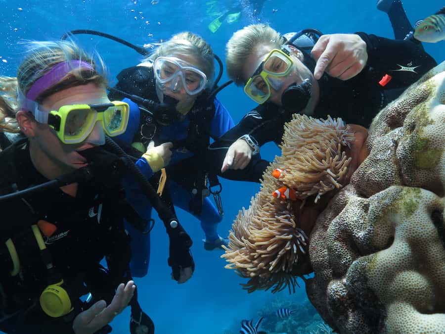 Port Douglas: Quicksilver Outer Barrier Reef Full-Day Cruise - Optional add-ons: helicopter views and more underwater time