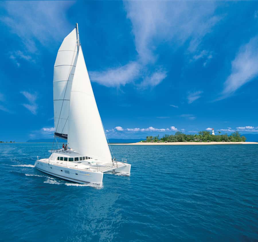 Port Douglas: Reef & Low Isles Cruise on Luxury Catamaran - Key things that make this cruise worth your time