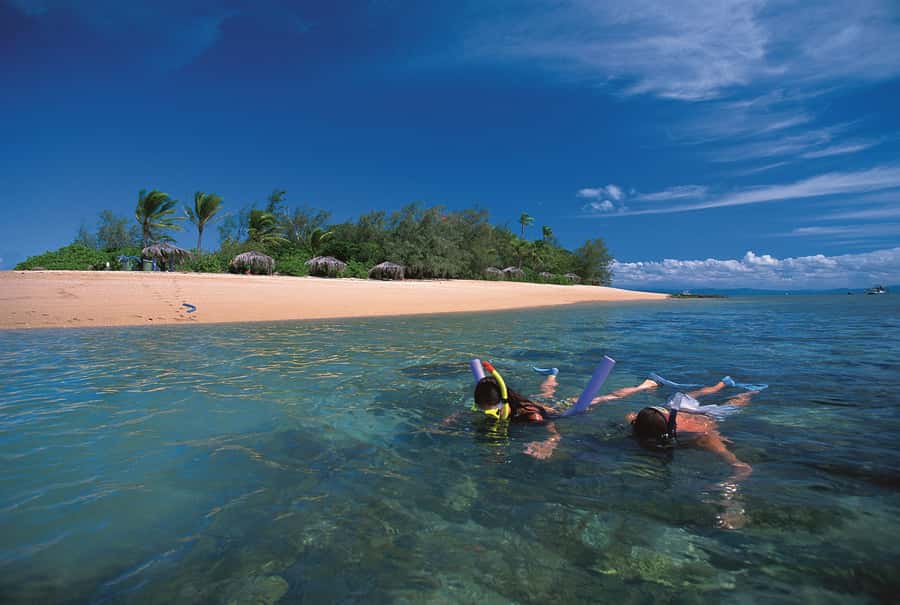 Port Douglas: Reef & Low Isles Cruise on Luxury Catamaran - Low Isles Coral Cay Time: Beaches, Palms, and a Reef You Can Actually See