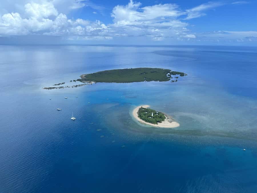 Port Douglas: Reef & Low Isles Cruise on Luxury Catamaran - Snorkelling the Protected Coral Gardens With a Marine Naturalist